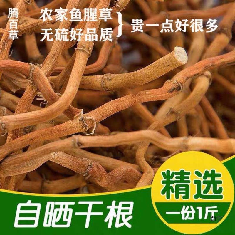 鱼腥草干货干农家自晒鱼腥草根折耳根当年新货泡茶煲汤无硫材