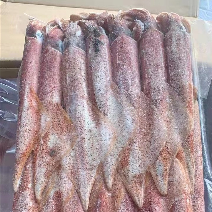 广西北海海鲜冷冻鱿鱼批发鱿鱼须烧烤鱿鱼筒鱿鱼圈酒店自助餐食材