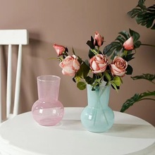 北欧ins风网红玻璃小花瓶卧室客厅插花家居装饰品摆件透明水培瓶