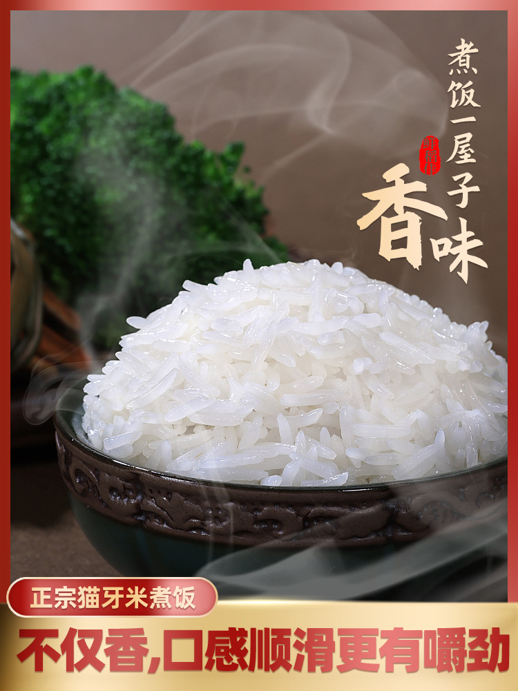 大米新米2023年新米猫牙米泰国香米香米长粒香大米丝苗米10斤