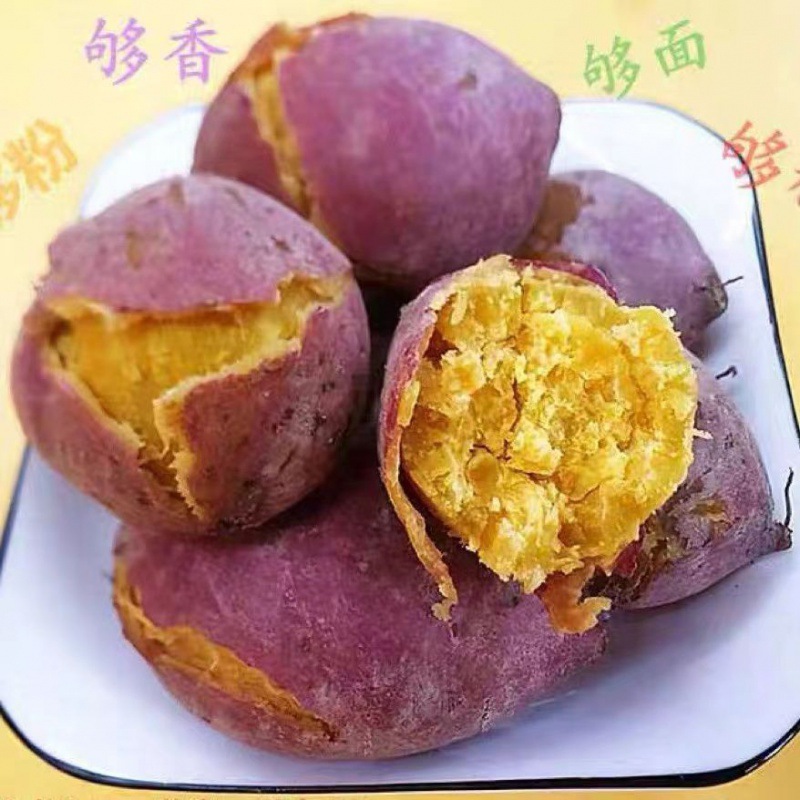 红薯批发刚挖新鲜板栗薯鸡蛋黄红皮黄心番薯粉糯香甜富硒地瓜代发