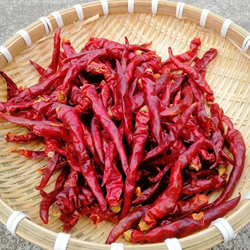 广东粤北高山红辣椒干中辣特辣天然日晒无硫无添加特干500g一大包