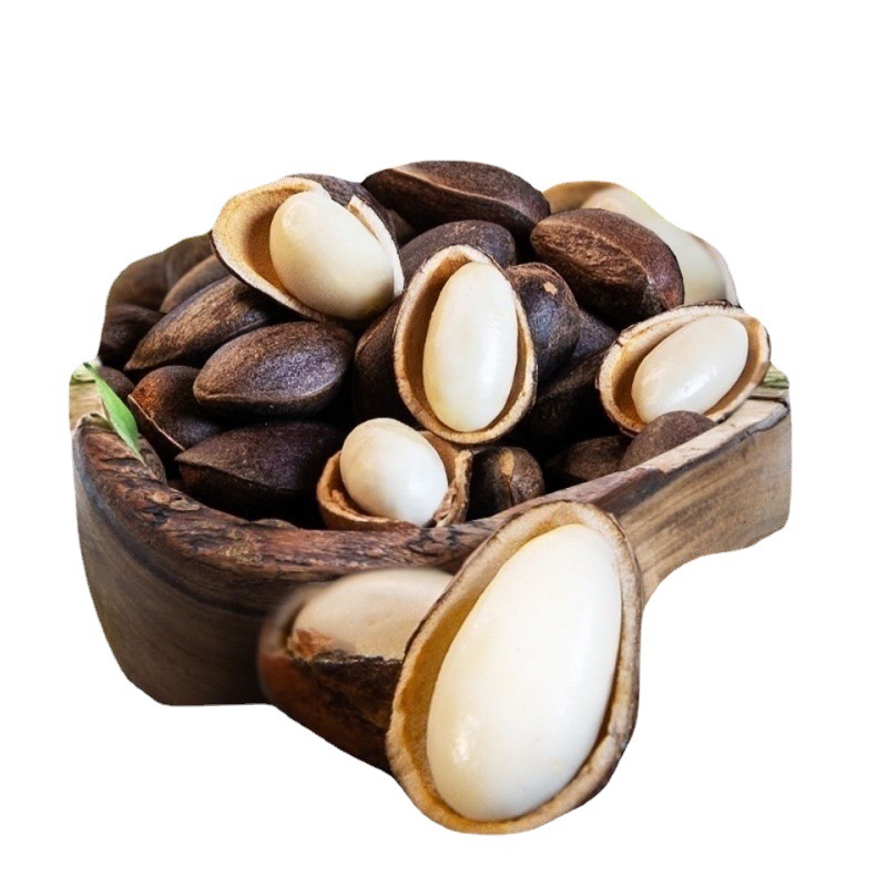 云南松子新鲜落水松大颗粒原味生松子黑松子特产新鲜现摘散装松子