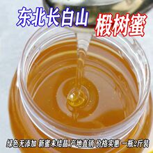 包邮东北特产椴树蜜 长白山蜂蜜 农家自产蜂蜜 原蜜  可批发