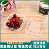 沙拉盒水果蔬菜透明包装塑料一次性打包外卖便当烘焙面包长菁|ms 沙拉盒水果蔬菜透明包装塑料一次性打包外卖便当烘焙面包长菁|ms