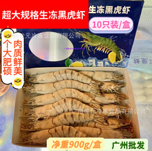 黑虎虾 900g/盒 越南黑虎虾特大生冻老虎虾海鲜水产斑节虾 九节虾