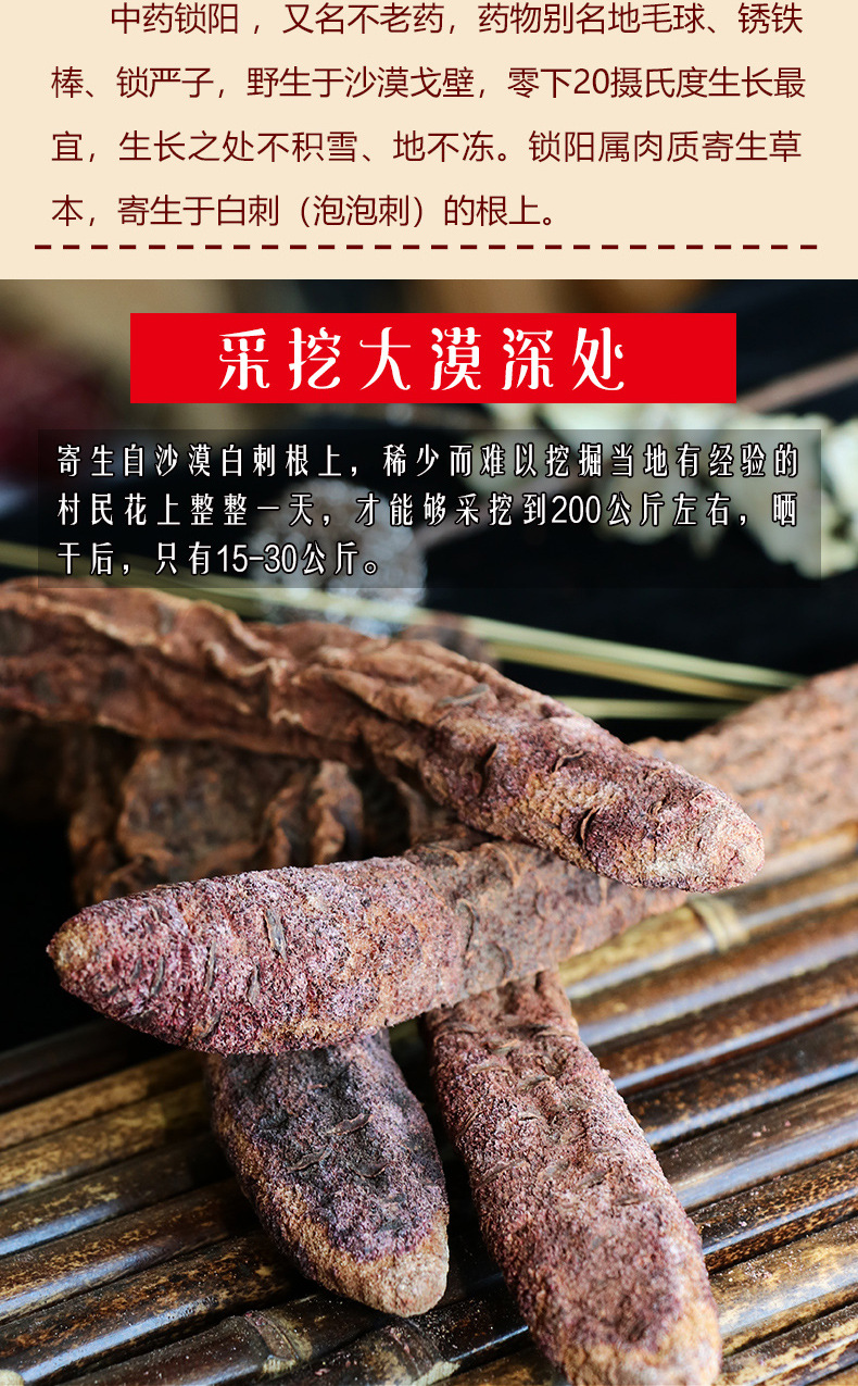 任意2斤包邮锁阳500g整根泡酒男性用泡茶滋补配苁蓉玛咖泡水