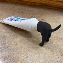 爆款便便狗牙膏礼帽有趣礼物Pooping Dog Butt Toothpaste Topper