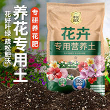 花土家用盆栽种花的营养土养花通用土壤植物花卉泥土种植