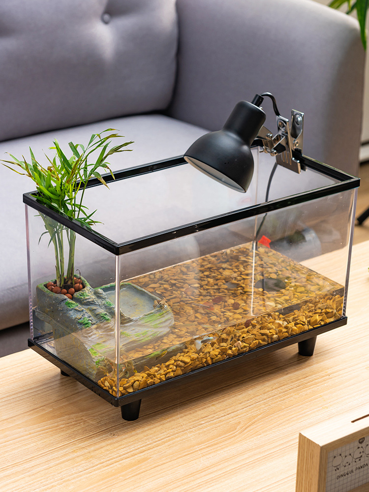 乌龟饲养缸巴西鳄龟生态饲养箱桌面小型鱼缸懒人客厅养龟缸亚克力