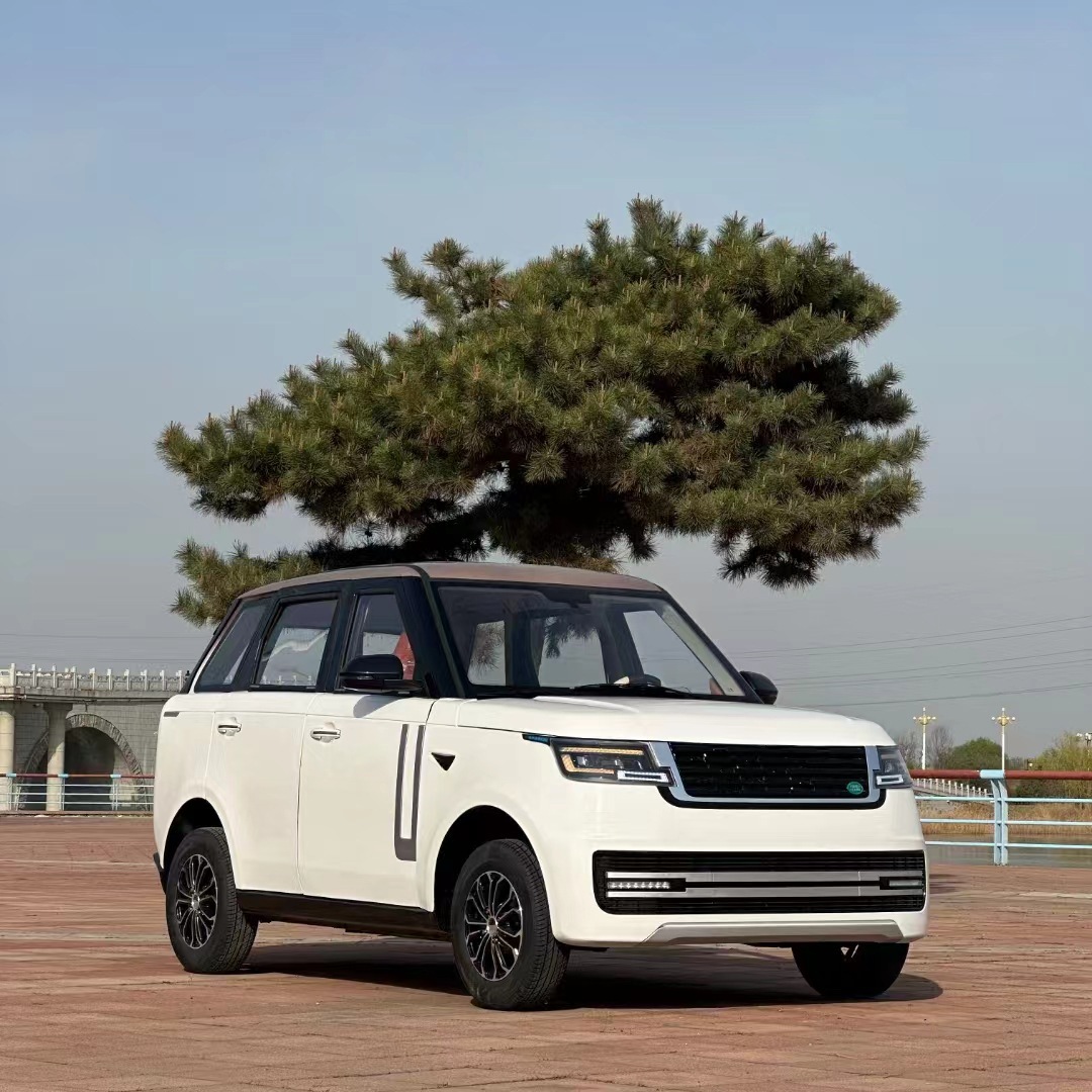 电动四轮车家用成人女士上班新能源电轿油电两用低速代步小电汽车