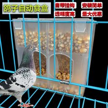 鸽子用品用具鹌鹑防撒食槽芦丁鸡肉鸽自动喂食器饮水器鸽子笼食晴