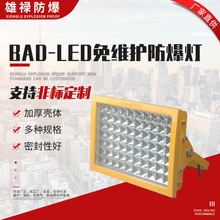 BAD-LED免维护防爆灯 LED防爆灯 隔爆型防爆泛光灯车间免维护照明
