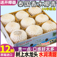 12个装 泰国椰青新鲜椰子孕妇水果香水椰去皮整箱包邮牛奶椰汁皇