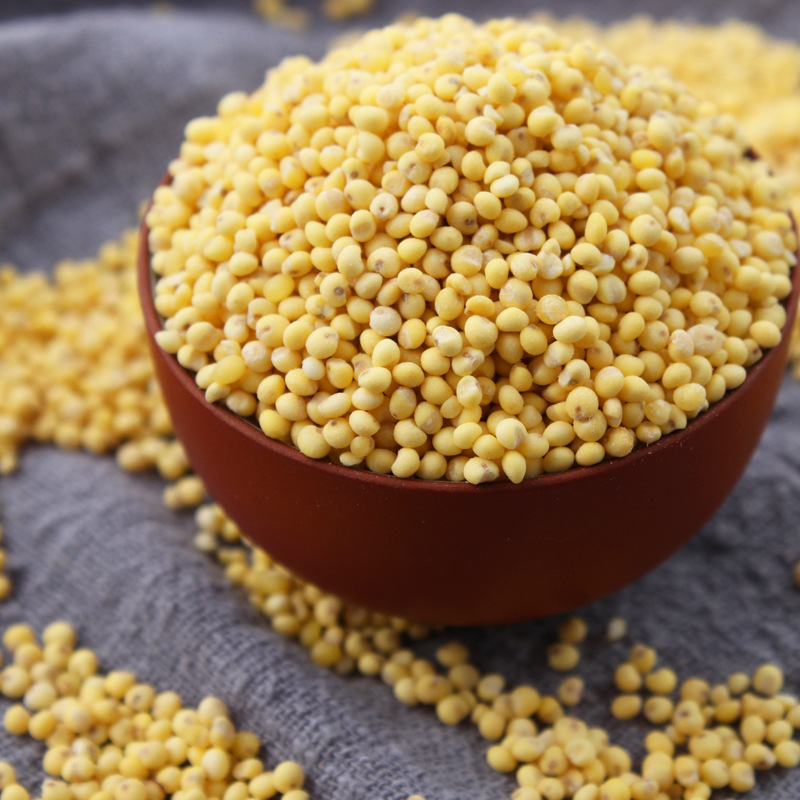 新米山西大黄米糯小米黍米粘米年糕包粽子软米黏米杂粮5斤