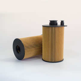 燃柴油过滤清器 bj40 2.0t 玉柴 2449h000355 yg2001012243b244