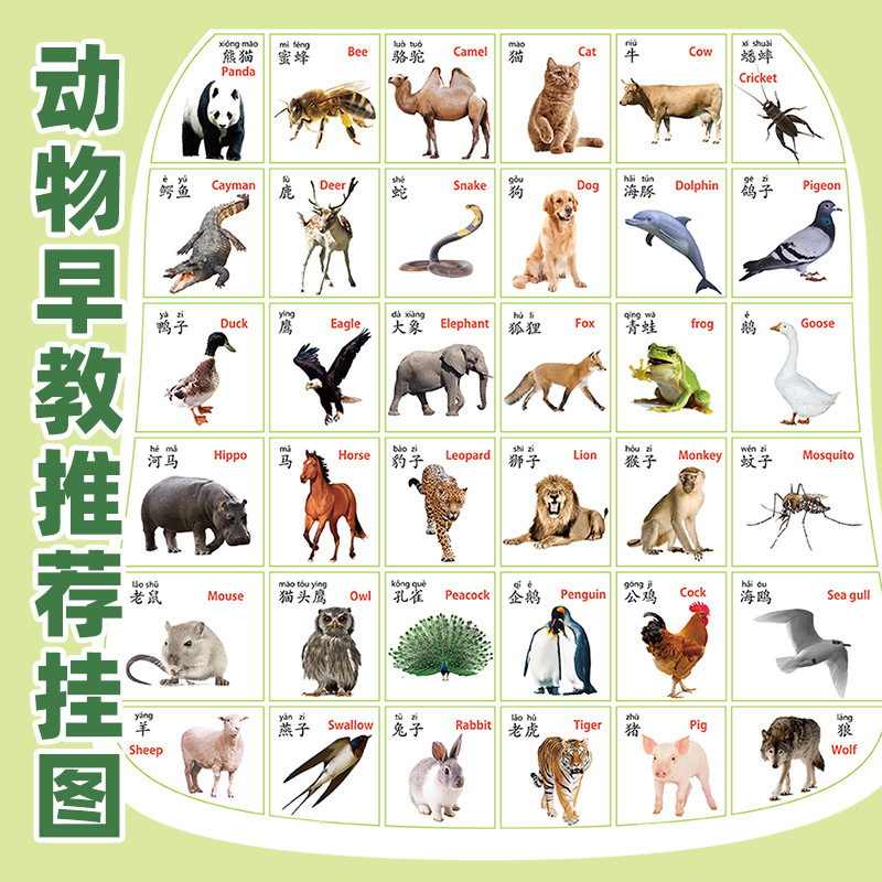 幼儿识字动物挂图图片-海量高清幼儿识字动物挂图图片大全 - 阿里巴巴