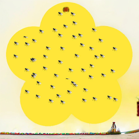 1片五叶草粘虫板-阿里巴巴