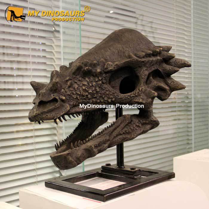 博物馆恐龙骨架模型超大号一比一 肿头龙头骨摆件商场景区骨骼