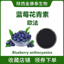 蓝莓花青素蓝莓提取物 蓝莓花色苷36%花青素25%欧法  新食品原料