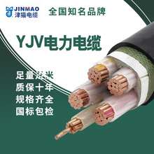 YJV3*16+2*10导电性能好电缆厂家铜芯电缆线 家装单股铜线低压