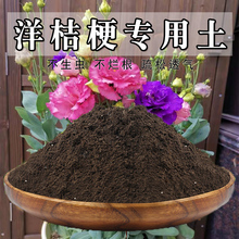 洋桔梗专用土洋桔梗土盆栽营养土通用种花养花泥土壤种植土有机肥
