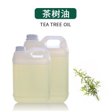 供应 茶树精油  收缩毛孔保湿抗痘控油紧致肌肤 按摩香薰单方精油