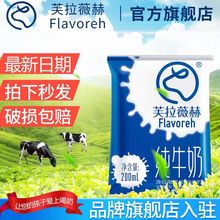 包邮芙拉薇赫新疆纯牛奶学生早餐整箱批发批发