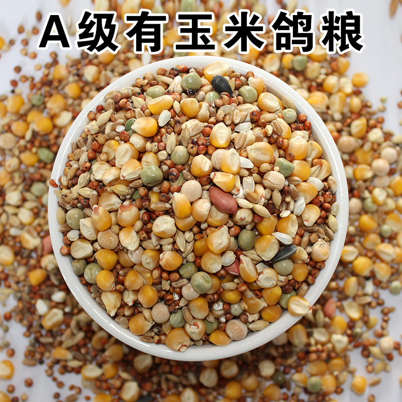 鸽粮20斤批发有玉米鸽子饲料鸽粮信鸽赛鸽观赏鸽青年鸽幼鸽鸽申恒