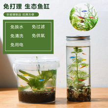 生态瓶DIY小鱼手提塑料微景观淡水冷水观赏鱼虾真水草活体学校