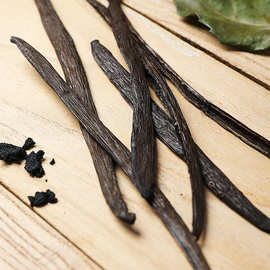 马达加斯加香草棒