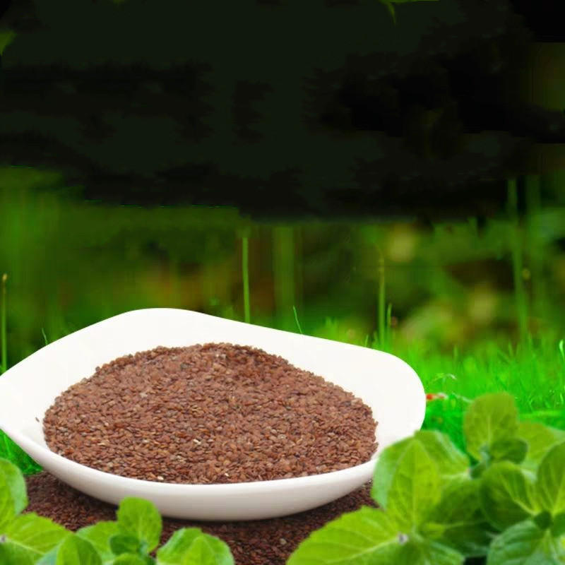 水草种子鱼缸牛毛草活体真草植物鱼缸造景装饰懒人净化水质的种籽