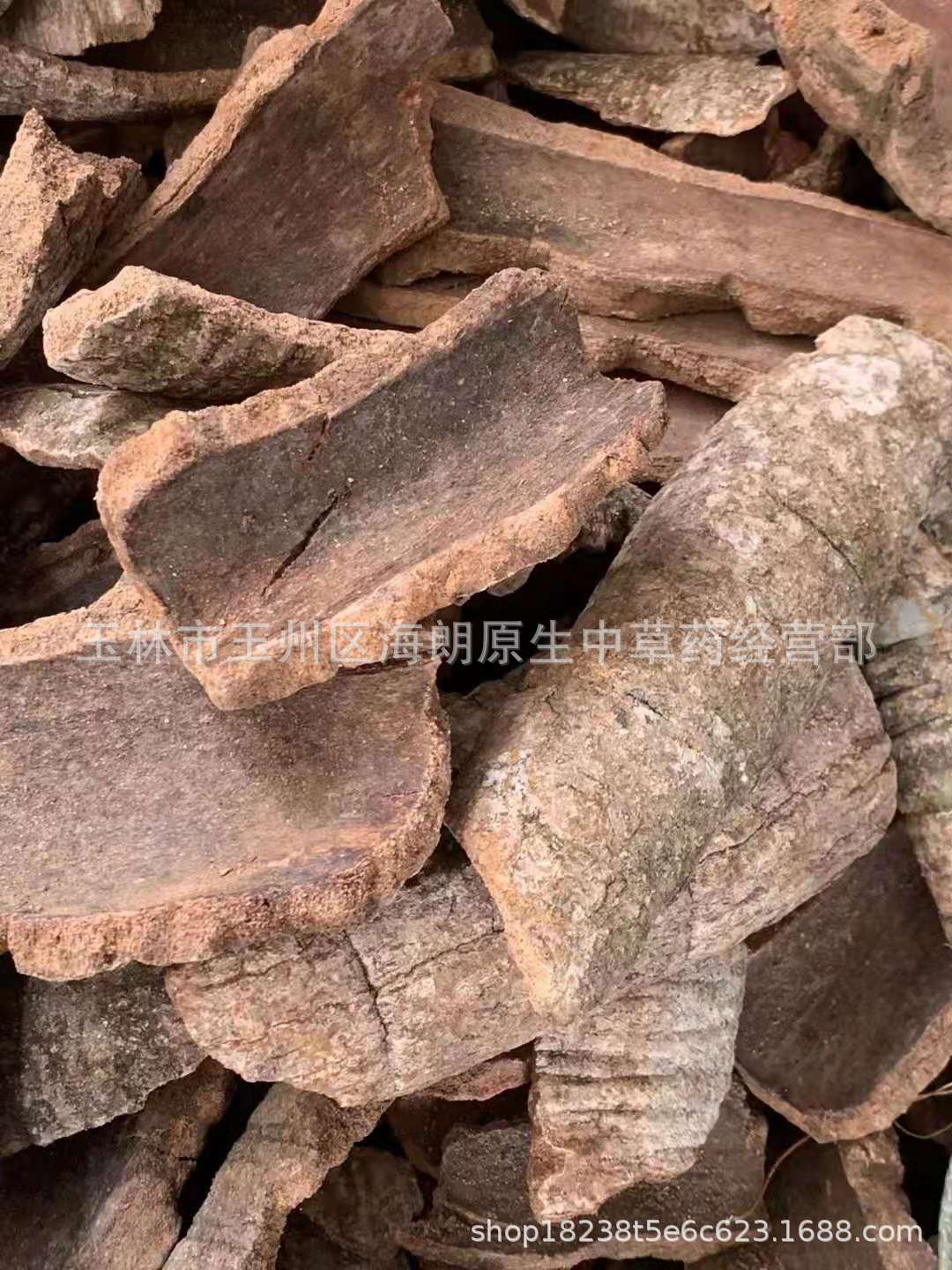 中药材救必应厚片中药材龙胆木皮熊胆木皮九层皮铁冬青批量供应