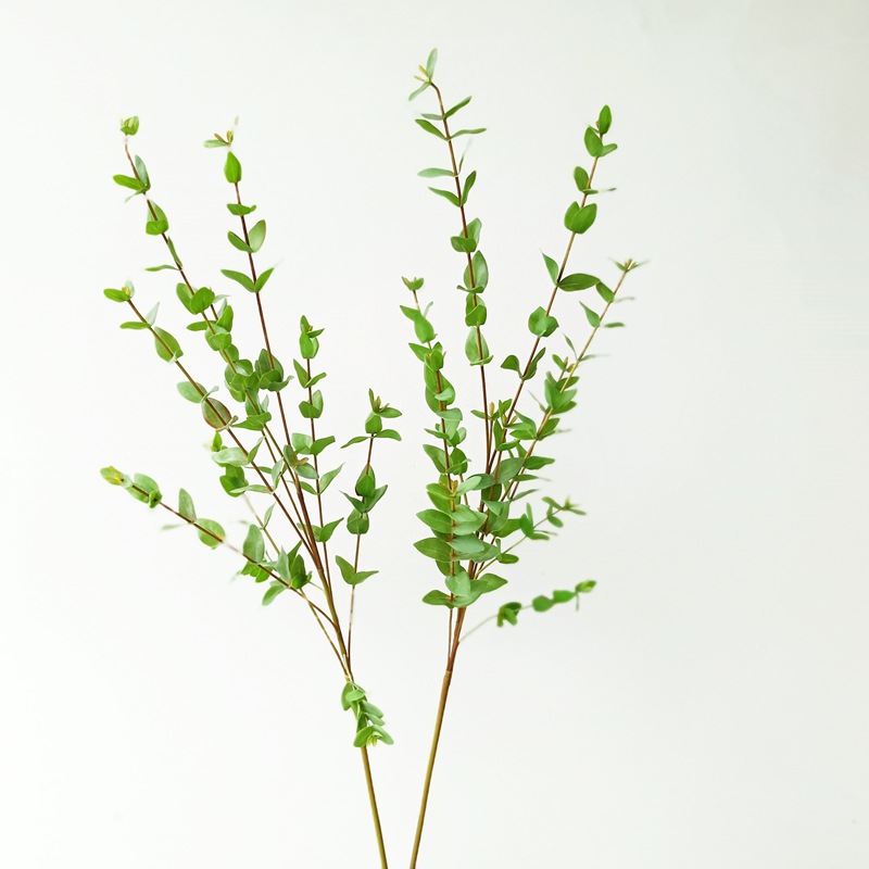 高品质尤加利叶细叶心形苹果桉树叶胶片北欧叶材客厅卧室仿真花