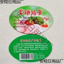 装鸡蛋网兜水果柴土网子超市软料密网袋批发红黄高压塑料网袋