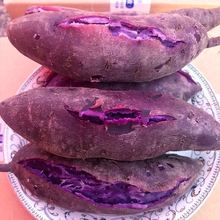 红薯香甜粉糯沙地紫薯新鲜紫心蜜薯地瓜番薯蔬菜批发2/5/10斤代发