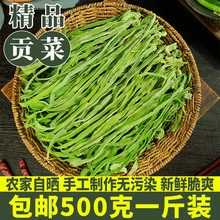 贡菜干干货500g脱水蔬菜包火锅专用无叶苔菜干一级商用农家制