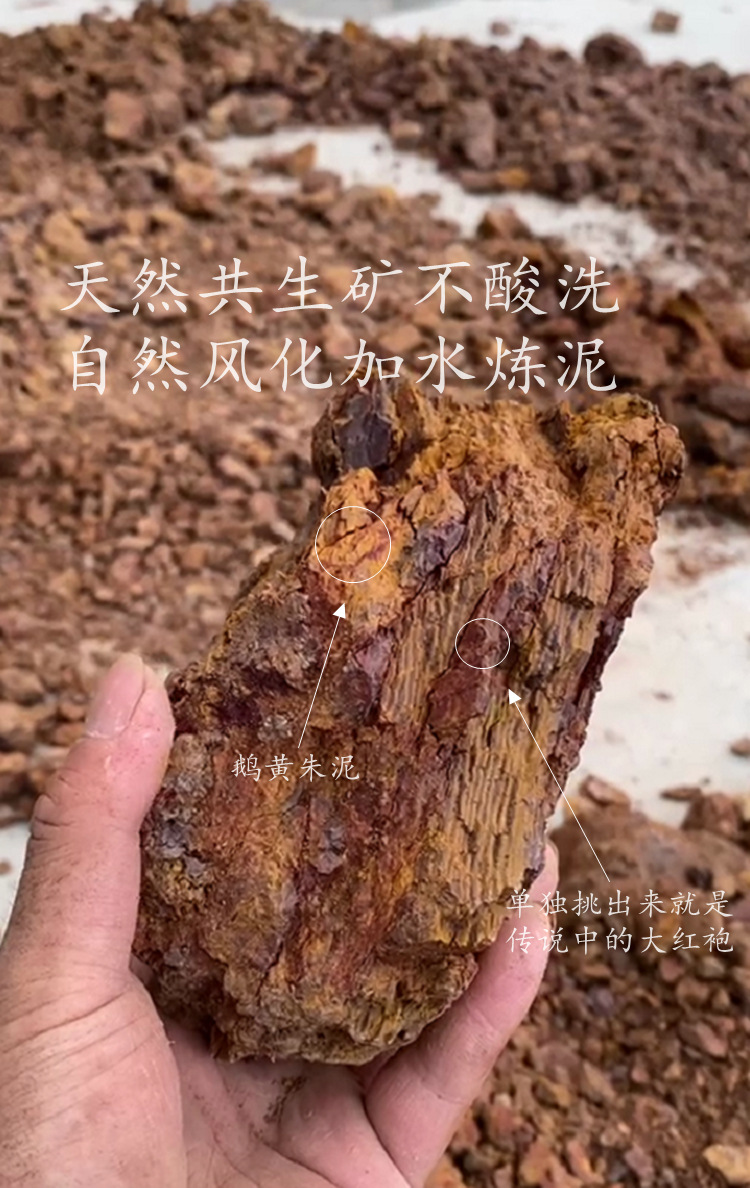 宜兴紫砂壶原矿老朱泥圆鼓100ml 自用大口盖泡茶小壶紫砂茶具批发