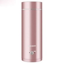 Portable Mini Electric Kettle Water Thermal Heating Boiler T