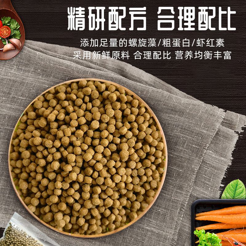 乌龟粮龟粮石金钱饲料鳄龟龟料小甲鱼苗饲料水陆幼龟鱼虾干龟批发