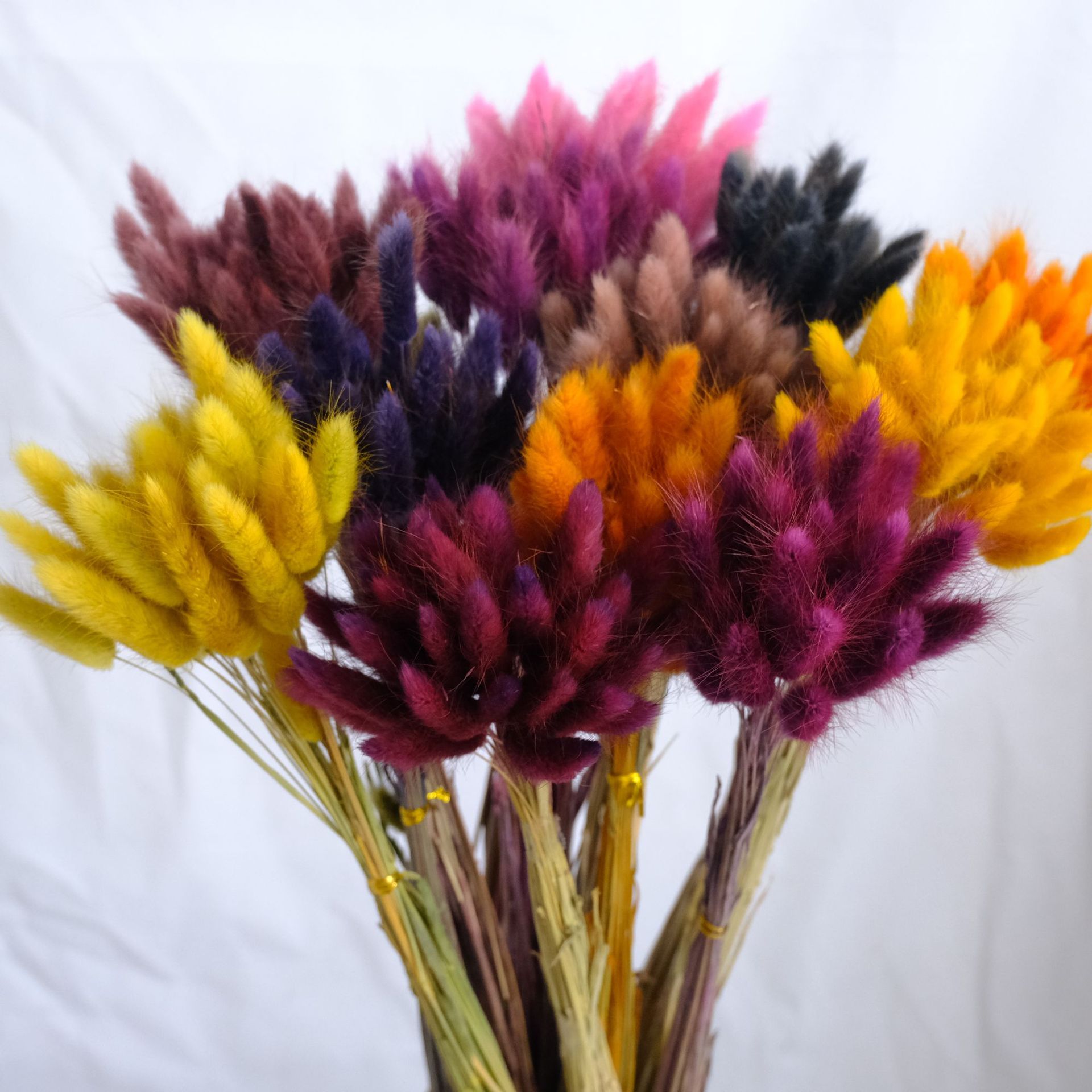 热销复古色马卡龙色系暗黑品质干花兔尾草花束干燥花工厂直销