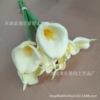 Single branch of simulation flower PU Horse&#39;s hoof Horse&#39;s hoof Northern Europe Bouquet of flowers a living room table flower arrangement Decoration Artificial flower Wedding celebration decorate