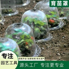 园艺保温罩育苗罩塑料可透气种植保护罩透植物闷养恒温罩