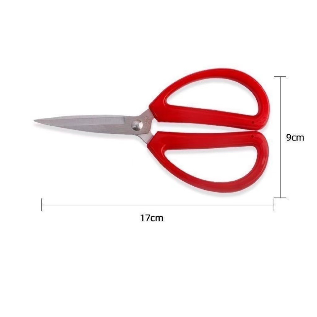 Red Scissors Household Scissors Wedding Scissors Strong Force Scissors Office Scissors Tailor Scissors Stationery Scissors Handwork Scissors Kitchen Scissors