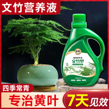 文竹营养液治黄叶专用肥料花卉绿植发财树富贵竹植物有机营养肥料