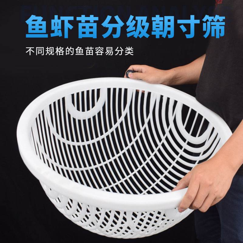 塑料鱼筛鱼苗苗种黄颡鱼泥鳅龙虾对虾大小分级塑胶筛子分选分拣筛