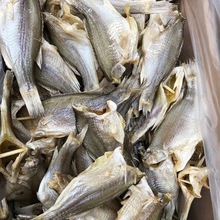 鱼干渔家自晒鲈鱼干海鲈腌制海鲜干货江西特产自然风干咸鱼干腊鱼