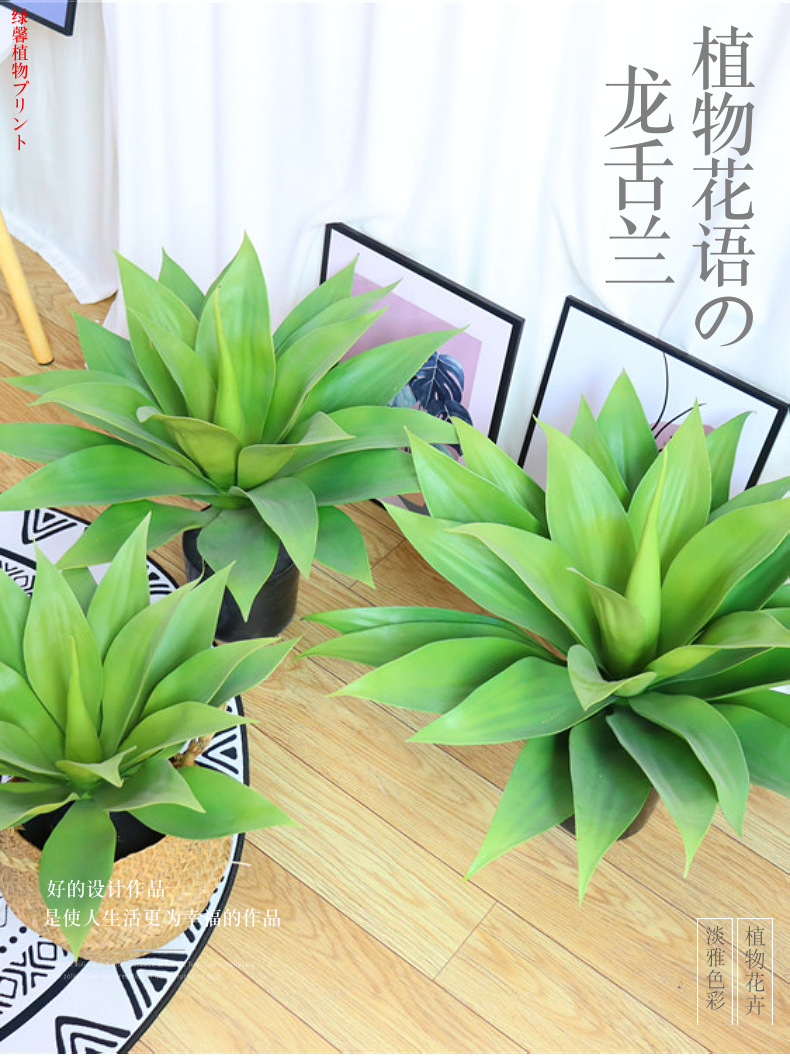 仿真龙舌兰芦荟大号多肉绿植剑兰剑麻景观搭配网红皇冠兰