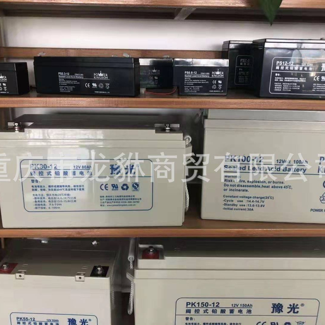 EPS电源蓄电池 直流屏电池 UPS电源柜蓄电池 低压配电屏12V65电池