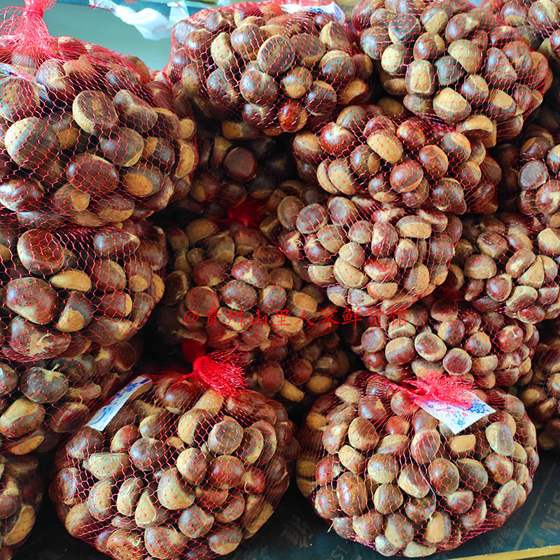 生板栗贵州高山香软粉面新鲜米黄肉油糖炒栗子原料整箱工厂厂批发